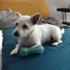 THALIE