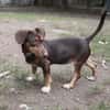 Jasmin sucht eine liebevolle Familie