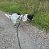 Balu, ich bin ein -Notfellchen-