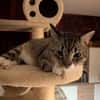 Nils sucht ein liebevolles Zuhause