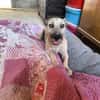 LOLO (Rescate)