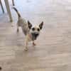 LOLO (Rescate)