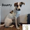 Bounty wird mutig und entdeckt die Welt