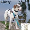 Bounty wird mutig und entdeckt die Welt