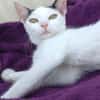 Kleine Kali sucht Zuhause