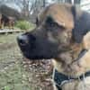 Seppl  - lieber Bub sucht Familie Right