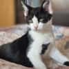 FENJA sucht ein Zuhause