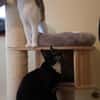 ***LEO und LILLY!***