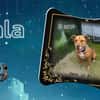 Nala