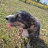 Berta