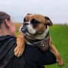 Betty sucht tolles zu Hause