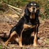 Rhonda Bracken Mix 9-10 Jahre 47 cm