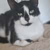 Patty sucht ein liebevolles Zuhause