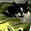 Patty sucht ein liebevolles Zuhause