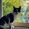 Patty sucht ein liebevolles Zuhause