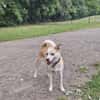 Timmy jetzt Albu 48 cm (Pflegestelle)