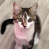 Izzy u. Ivo suchen ein liebevolles Heim