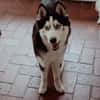Lumi