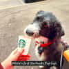 Mitzie