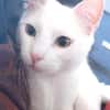 Sky sucht dich