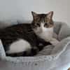 Pebbles & Ron suchen zusammen