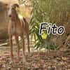 Fito versucht sein Glück 🍀