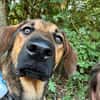 Kayo -zur Pflege in 23701 Bockholt-