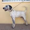 LUCHO (Maria)