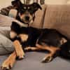 Sportliche PIPPA sucht liebes Zuhause