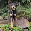 Sportliche PIPPA sucht liebes Zuhause