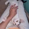 🐾 Kleine Marie sucht ihr Zuhause 🐾