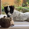 Superliebe Raia sucht ihre Familie