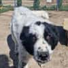 Superliebe Raia sucht ihre Familie