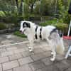 Wunderbare Shine sucht ihre Familie
