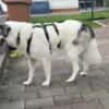Wunderbare Shine sucht ihre Familie