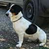 Liebenswerte Peggy wartet