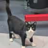 Minnie Sonnenscheinchen sucht Familie