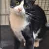 Minnie Sonnenscheinchen sucht Familie
