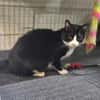Minnie Sonnenscheinchen sucht Familie