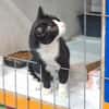 Minnie Sonnenscheinchen sucht Familie