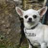 MINIE