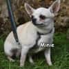 MINIE