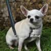 MINIE