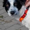 Lea sucht ihre Familie