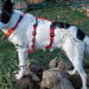 Lea sucht ihre Familie