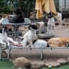 Lea sucht ihre Familie