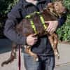 Soccx sucht ihre Familie