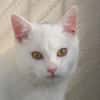 SKAI  (RÉSERVÉ)