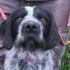 DROOPY