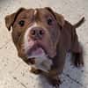 OTTIS